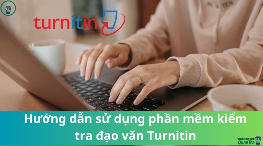 Top 5 Phần Mềm Đạo Văn Tốt Nhất 2026 (Turnitin & Thay Thế)